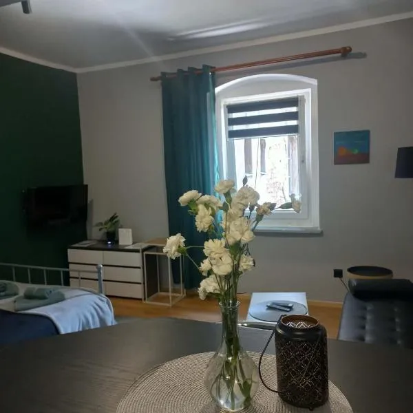 Przytulne Studio Góry Sowie, מלון בבילאווה