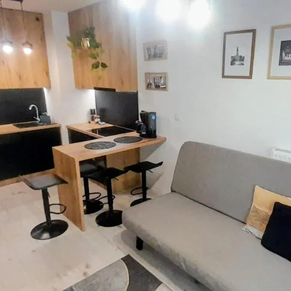 Apartament Amelia: Zamość şehrinde bir otel