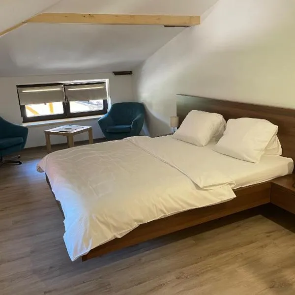 Hotel Zámeček na Čeladné、チェラドナーのホテル