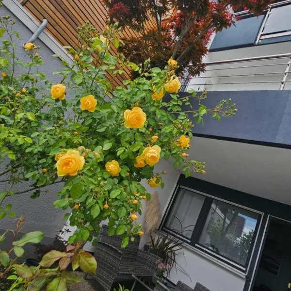 Ferienwohnung Bad Bergzabern, hotel i Bad Bergzabern