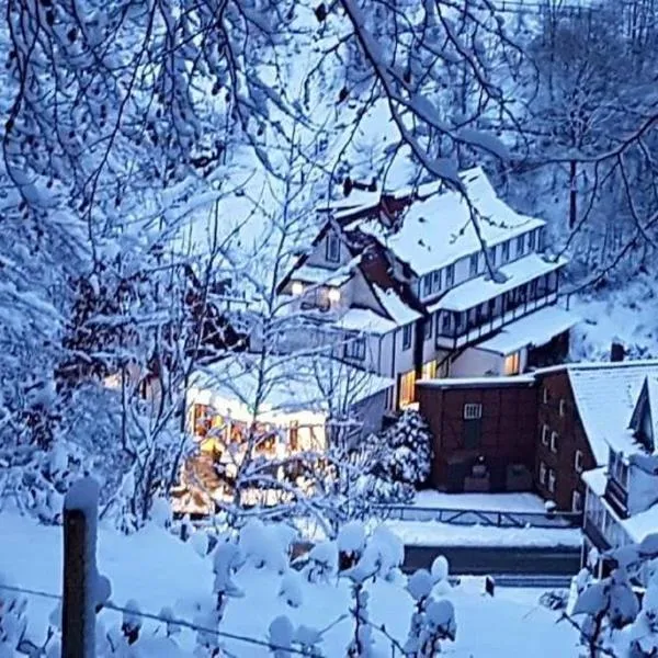 Hotel "Glück Auf ", hotel in Bad Grund
