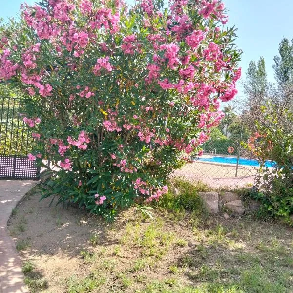 El Madroño de la Encantada, hotel in Córdoba