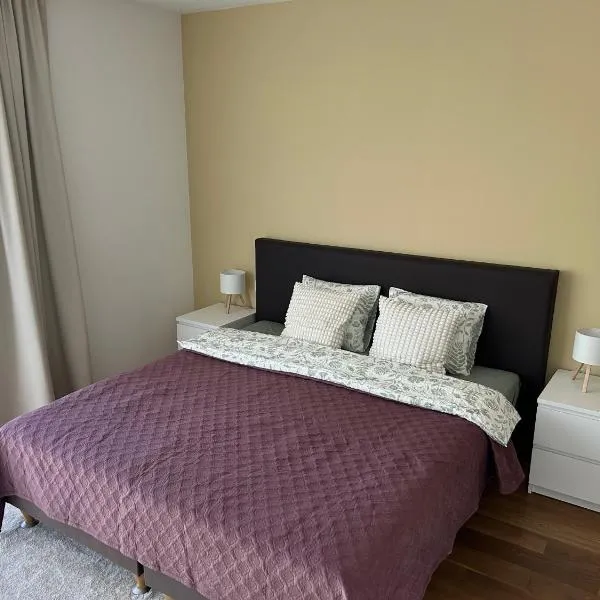 Spacious 56 m2 Apartment in the Quiet Center, Free Private Underground Parking & Self Check-In, hotelli Riiassa