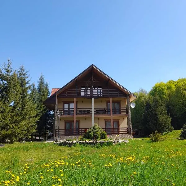 Cabana Andrea, hotel u gradu 'Arpaşu de Sus'