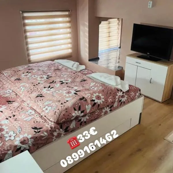 Апартамент за гости Николови, Hotel in Widin