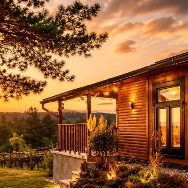 Faház a kilátónál Lukácsháza - Woodhouse, hotel di Lukácsháza