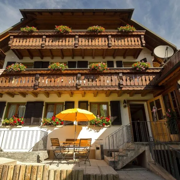 Landhotel und Apartments Sonneck, hotel din Feldberg
