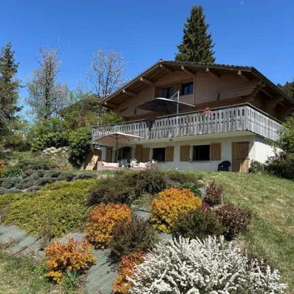 Charmant appartement avec jardin et magnifique vue, hotel in Saint-Jean-de-Sixt