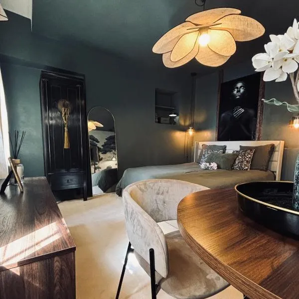 La Suite Archevêché, avec parking hypercentre d'Albi, hotel v destinaci Albi