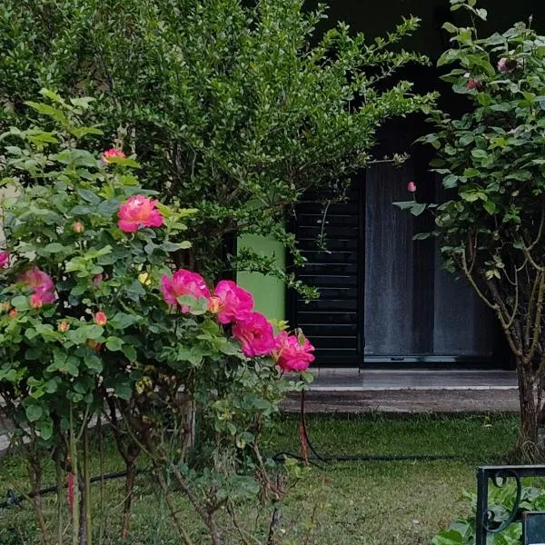 Guesthouse Eleftherios – hotel w Kalawricie