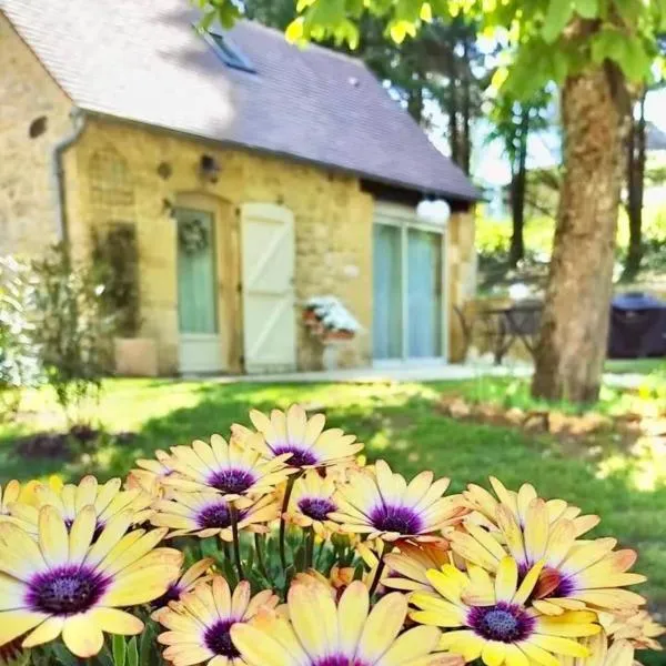 Gîte du Moulin de Maître Pierre, Hotel in Payrignac