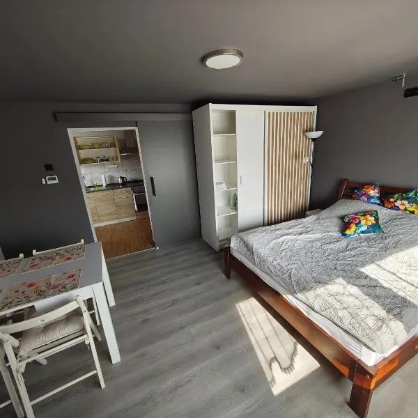 Wyspa Karsibór Świnoujście Apartament, hotel in Świnoujście
