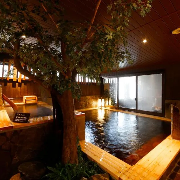 Dormy Inn Toyama Natural Hot Spring, hotell i Toyama