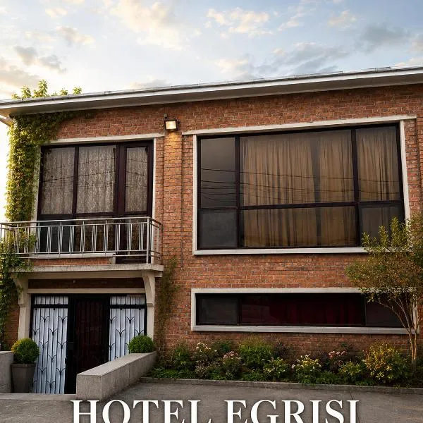Hotel Egrisi in Senaki, hotel in Senaki