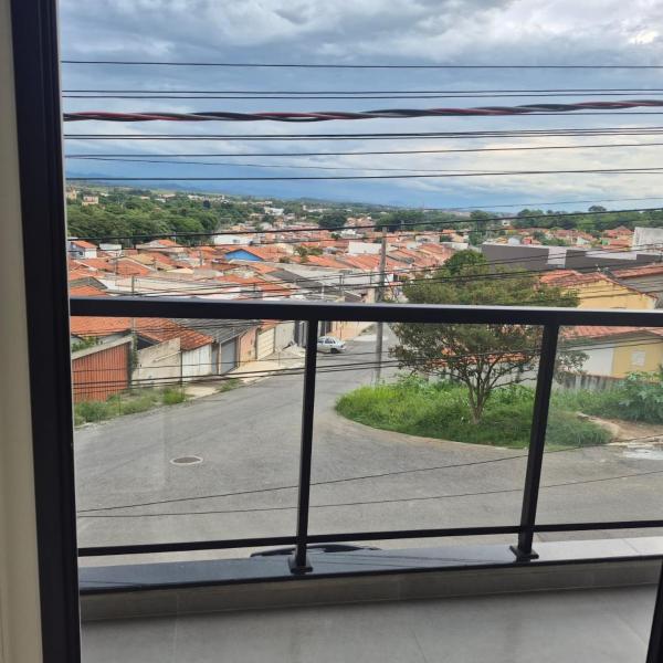 Lírio-da-paz - Foto 3