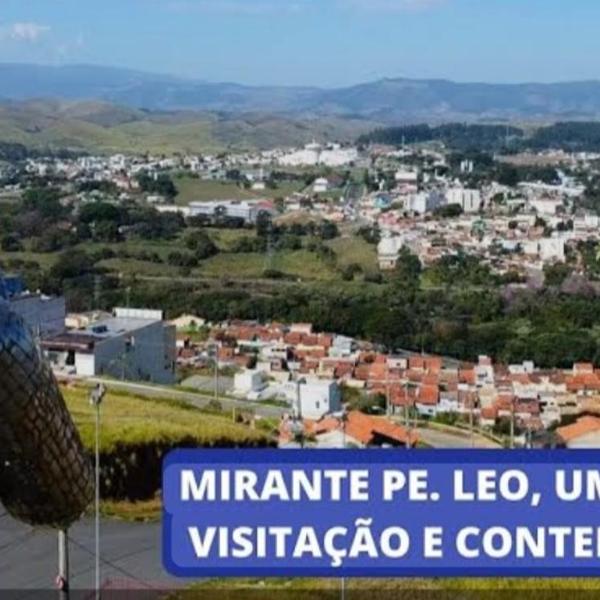 Lírio-da-paz - Foto 4