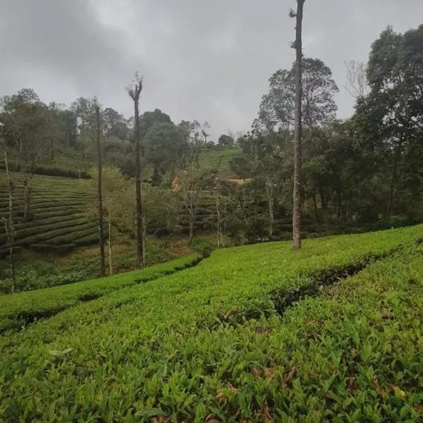 발파라이에 위치한 호텔 Valparai home stay tea view