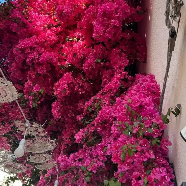 Le bougainvillea 1, Hotel in Corbetta