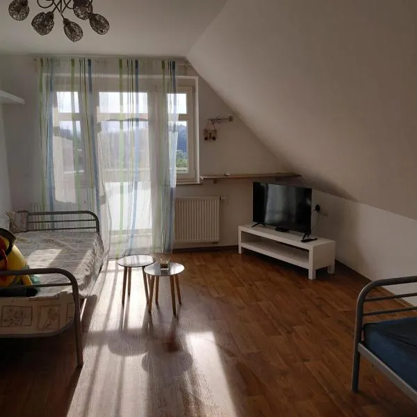 Apartment Robin, Hotel in Karlsbad