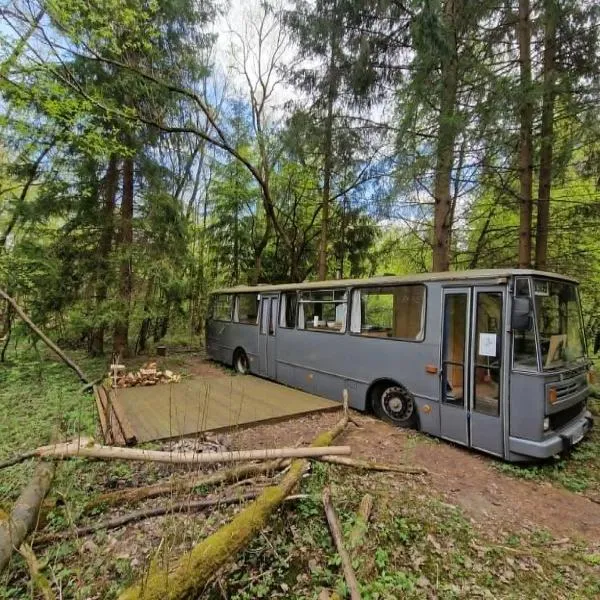 Magicbus, hotel v mestu Podtureň