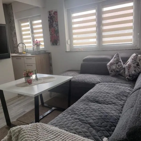 Apartman Sava, hotelli kohteessa Bosanski Šamac