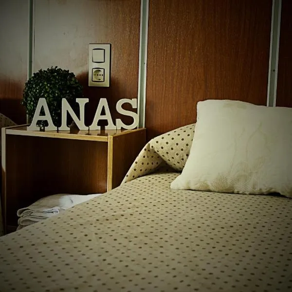 Hostal Anas, hotel v destinaci Merida