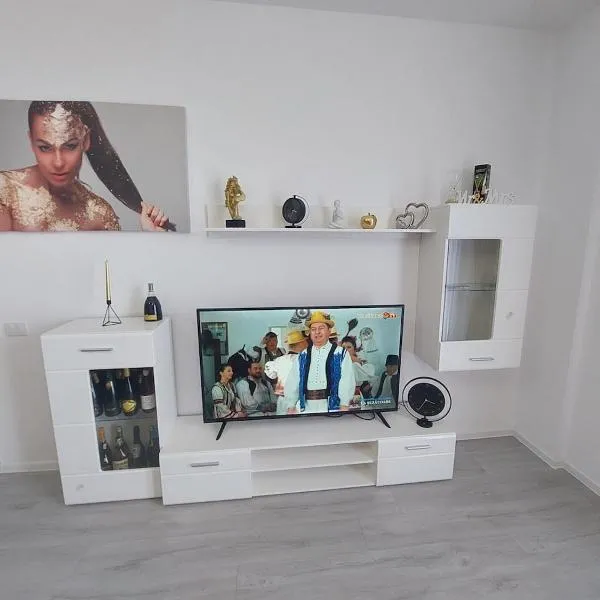 Vlad Apartment: Băile Felix şehrinde bir otel