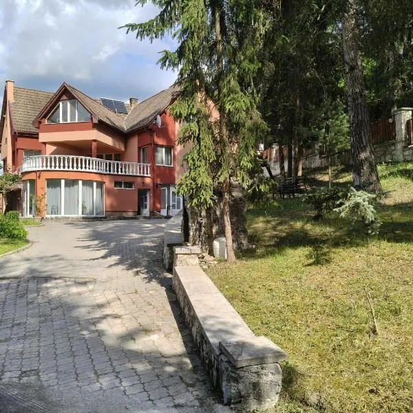 Baroc Boutique Hotel, Hotel in Topliţa