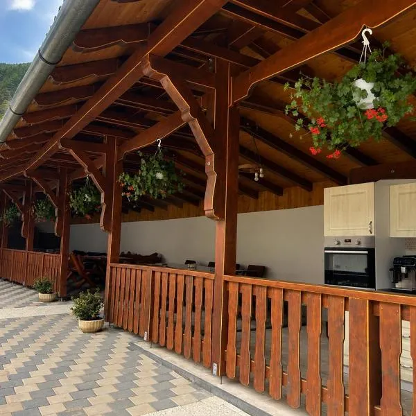 Pensiunea Hanzu Darius, hotel di Gura Rîului