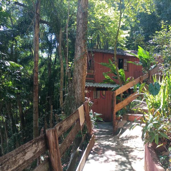 Parque dos Passaros - Foto 5