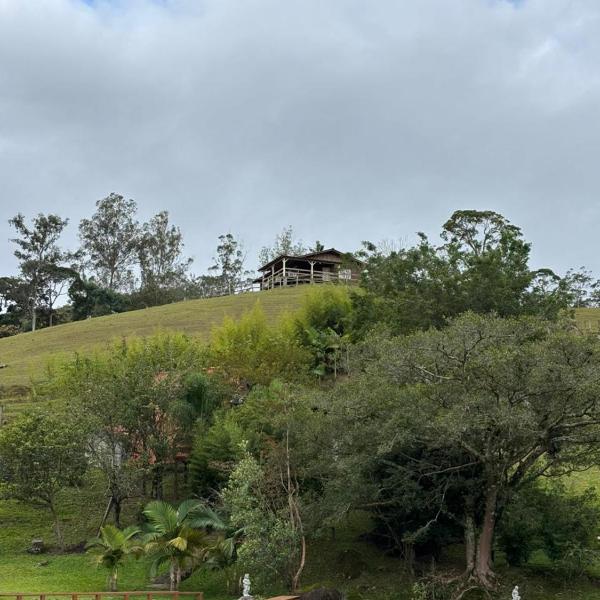 Sitio em São Pedro de Alcantara - Foto 5