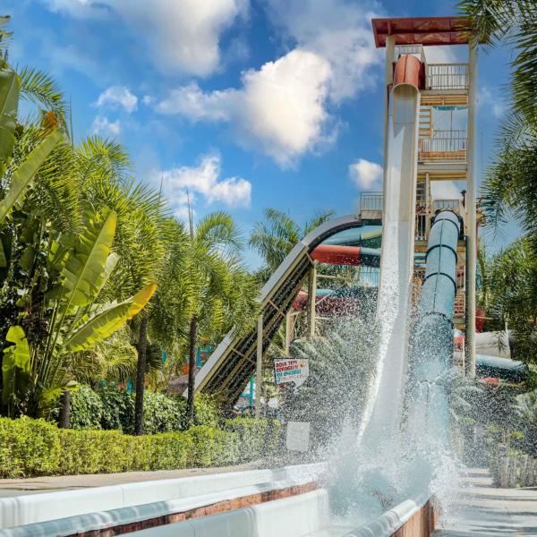 Imperio Romanos Hotel e Park Caldas Novas, com piscina 24h, incluso um dia nos dois parques diRoma Acqua park e splash - Foto 5