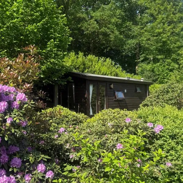Chalet Kip & Geit incl Sauna & Jacuzzi, hotel en Heino