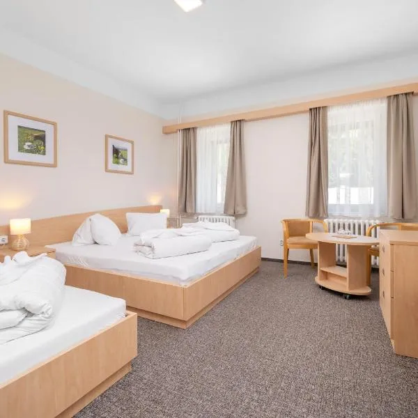 Horský Hotel Jelínek, hotel Bedřichovban