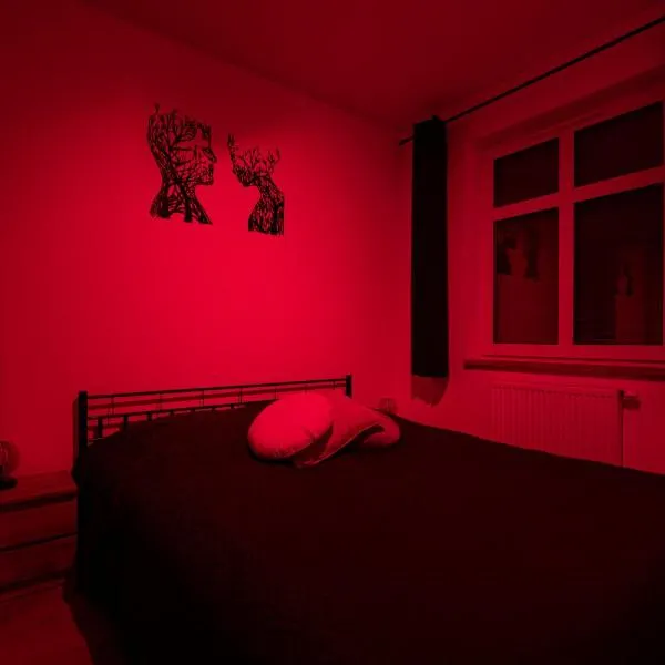 Plac Solny 4 Discreet&Comfort Głogów, hotel en Glogovia