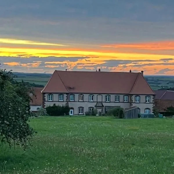 Chateau de Gendersberg, hotel em Hanviller