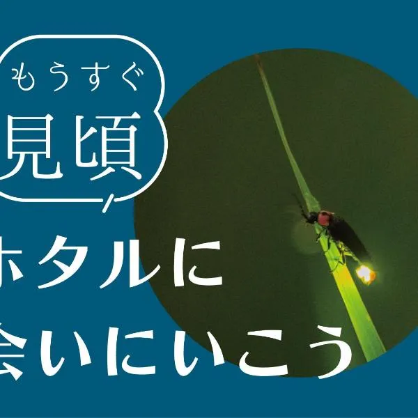 Ukiha Kojio no Akari, hotell sihtkohas Ukiha