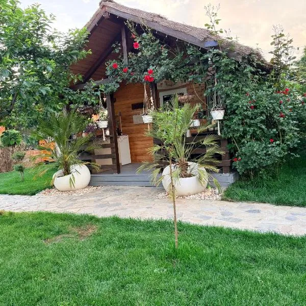 Cabana Sorina, מלון בקורבו