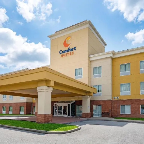 Comfort Suites near Indianapolis Airport, Hotel in Indianapolis