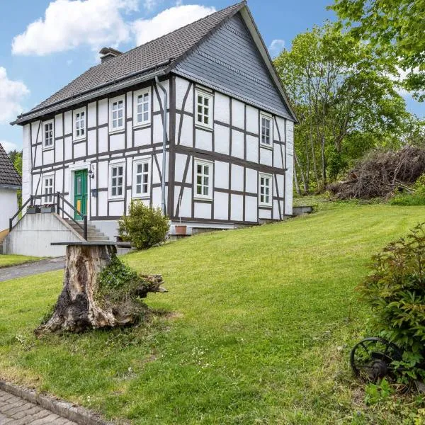 Dommelhof Ferienwohnungen – hotel w mieście Diemelsee
