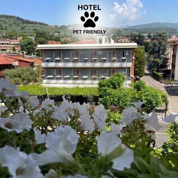 Hotel Benaco Garda ***S, hotel di Garda