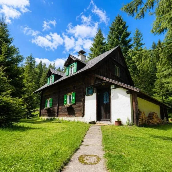 Almhütte am Steirischen Seeberg, hotel en Turnau