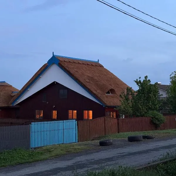 Pensiunea Pagaya – hotel w mieście Gorgova