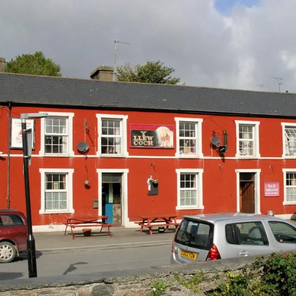 Y Llew Coch Tregaron, hotel Tregaronban