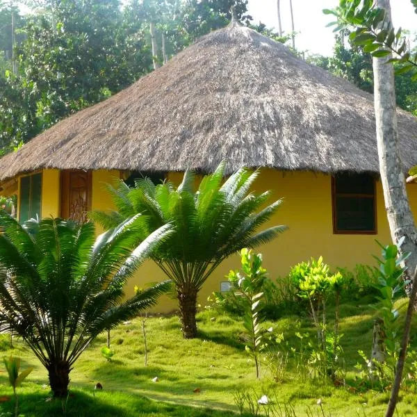 Ankobra Beach Resort, hôtel à Auchiri