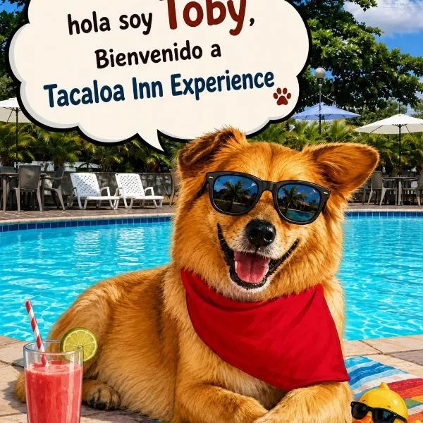 Hotel TACALOA INN EXPERIENCE, hotel en Ricaurte