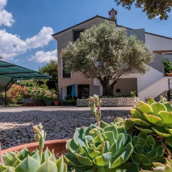Apartments Villa Ana, hotel i Palit