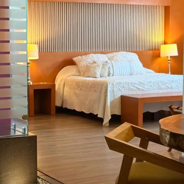 Ciudad Guzmán में, होटल Hotel Tlayolan