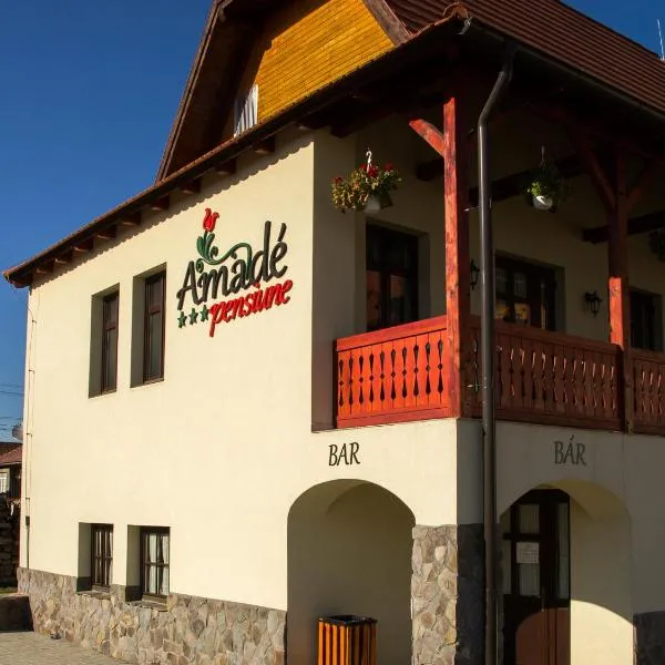 Viesnīca Amadé Pension & Restaurant pilsētā Păuleni-Ciuc