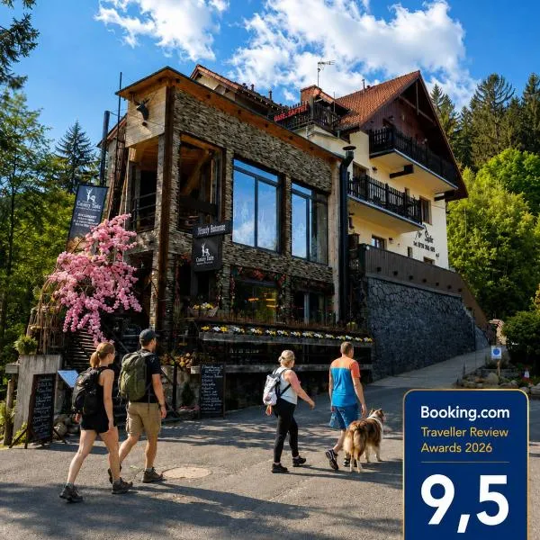 Safir przy samym WYCIĄGU, Hotel in Karpacz
